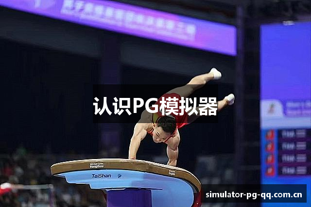认识PG模拟器